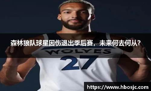 森林狼队球星因伤退出季后赛，未来何去何从？