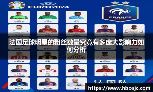 法国足球明星的粉丝数量究竟有多庞大影响力如何分析