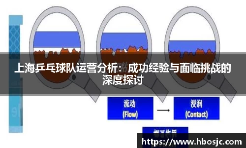 上海乒乓球队运营分析：成功经验与面临挑战的深度探讨